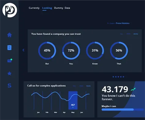 Promesolutions dashboard